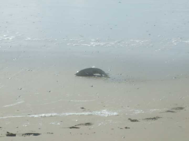 plage095.jpg