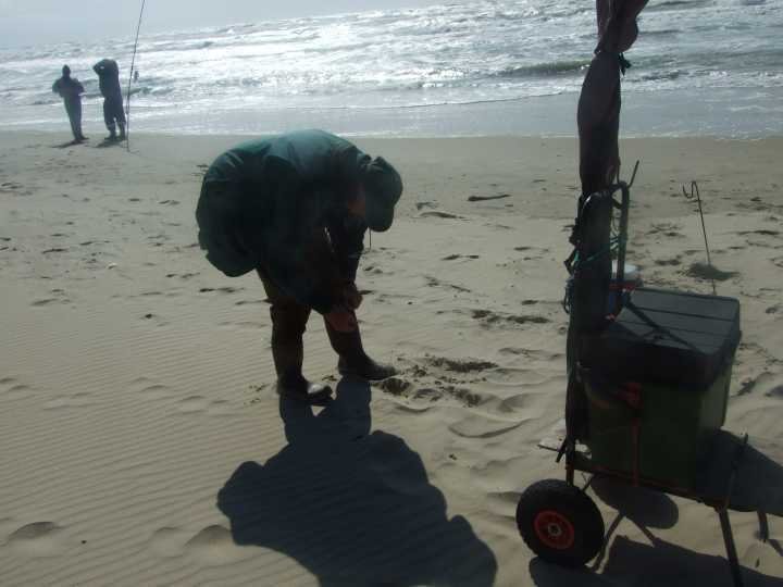 plage139.jpg