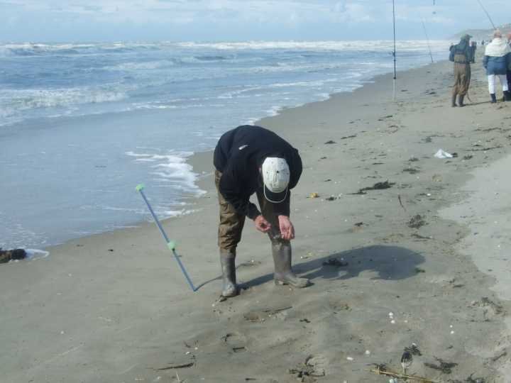 plage147.jpg