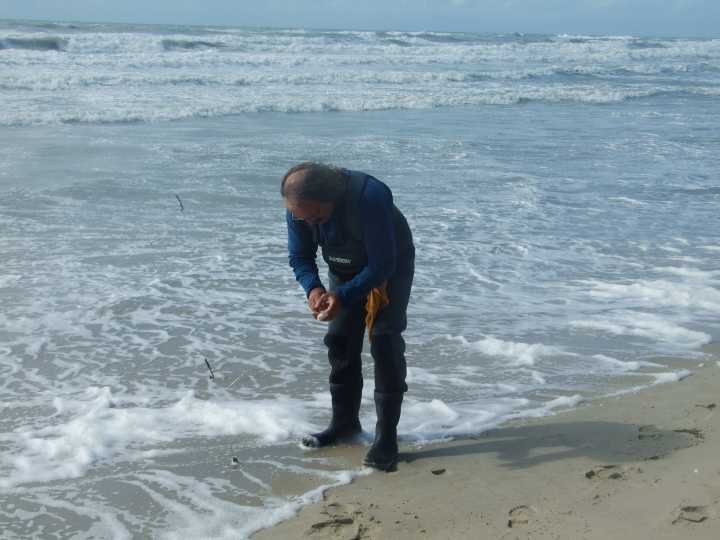 plage154.jpg