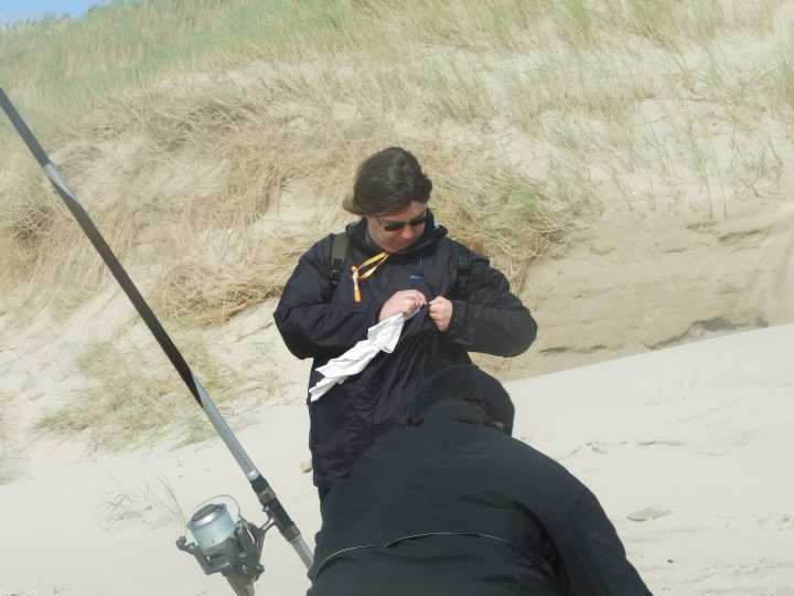 plage161.jpg