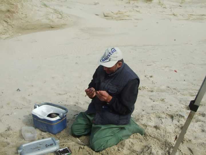 plage179.jpg