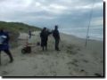 plage058.jpg