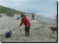 plage062.jpg