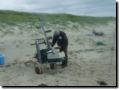 plage080.jpg