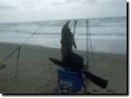 plage083.jpg