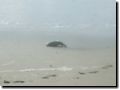 plage095.jpg