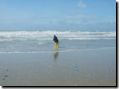 plage109.jpg