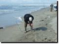 plage147.jpg