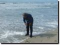 plage154.jpg